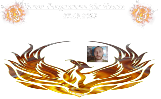 dateien_upload/steven_werbung151_.jpg